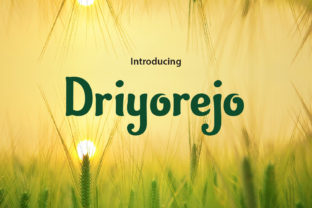 Driyorejo Font: A Web Designer’s Review