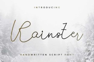 Rainster: A Designer’s Honest Review of Script Amp’s Latest Release