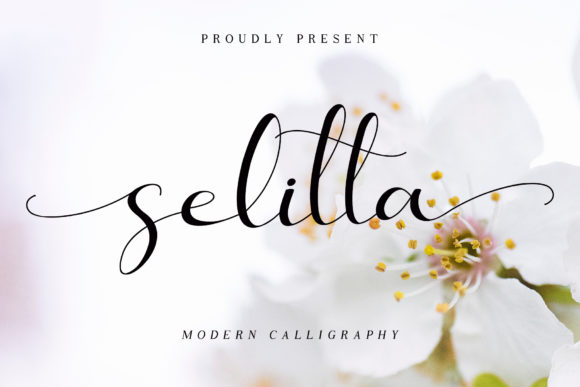 Selitta: The Handwritten Font for Clear Campaigns